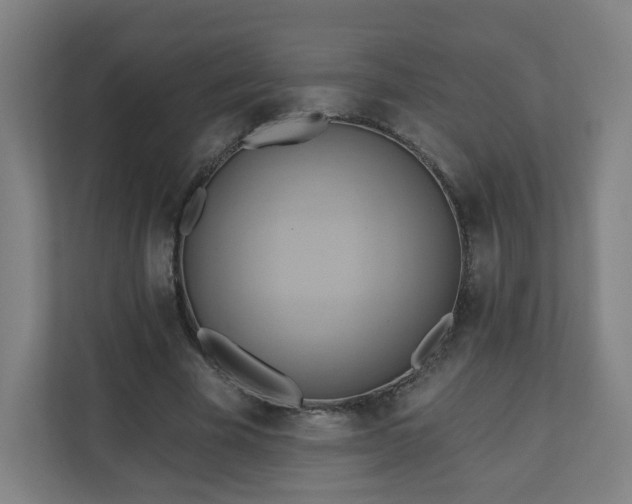 X0000110680585200906191407