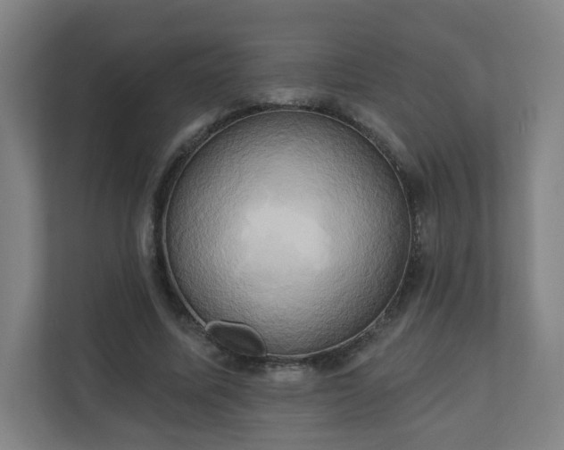 X0000110680587200906191407