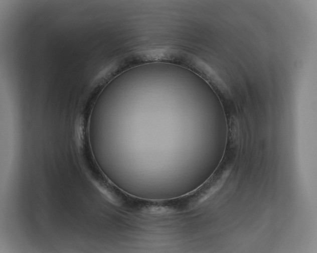 X0000110680590200906191407