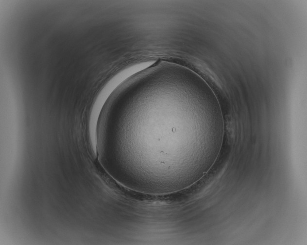 X0000110680593200906191407
