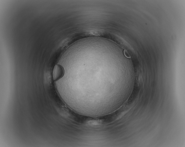 X0000110680595200906191407