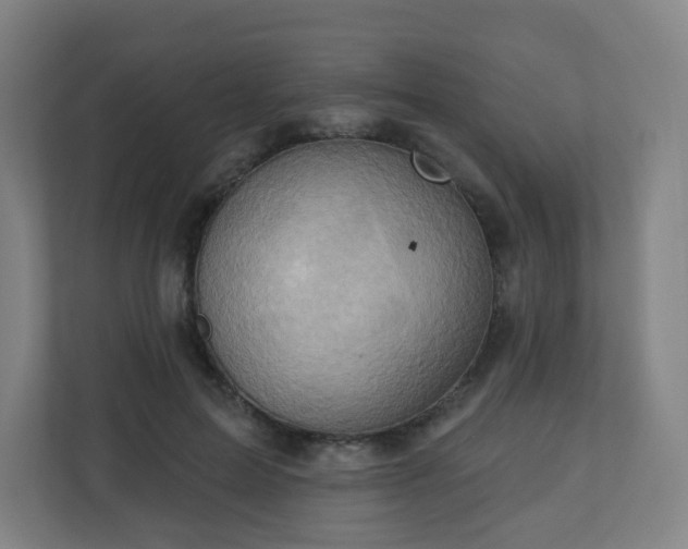 X0000110680599200906191407