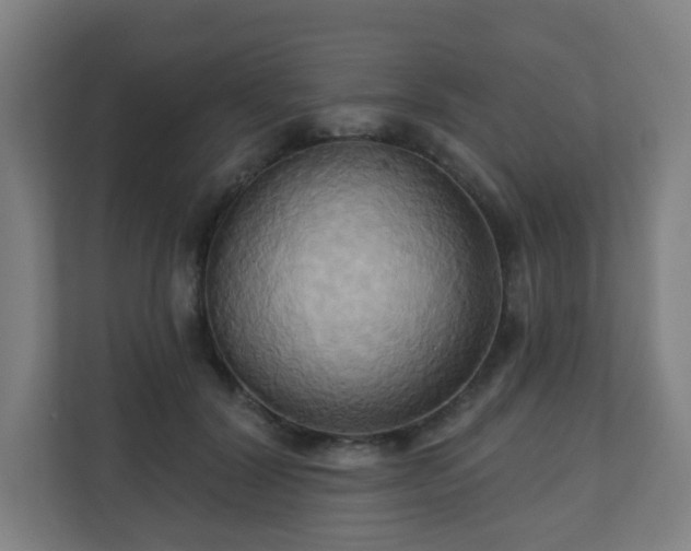 X0000110680604200906191407