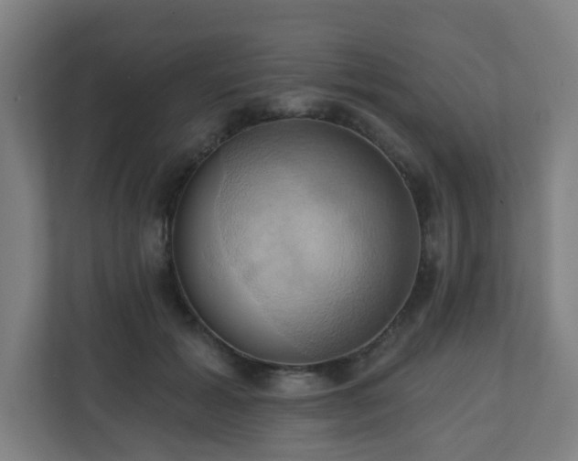 X0000110680605200906191407