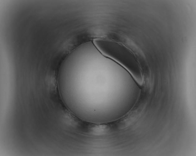 X0000110680609200906191407
