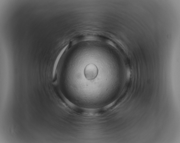 X0000110680621200906191407