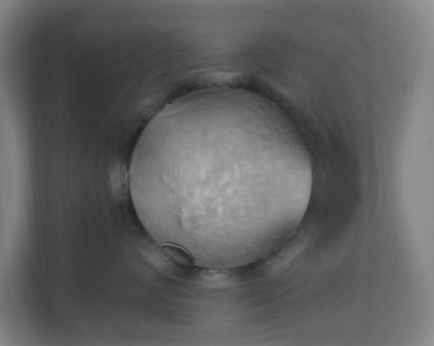 X0000110680624200906191406