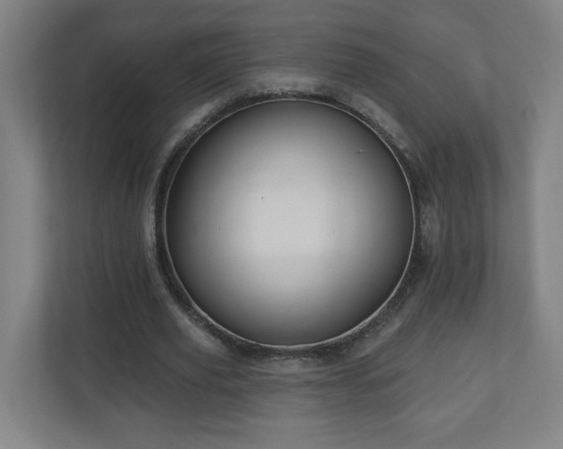 X0000110680629200906191406