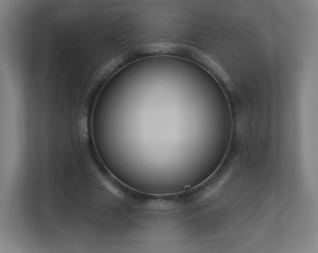 X0000110680633200906191406