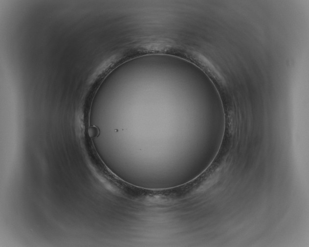 X0000110680634200906191406