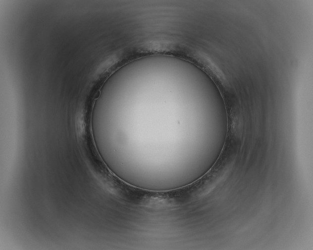 X0000110680635200906191406