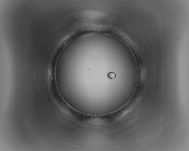 X0000110680636200906191406