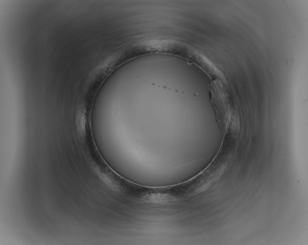 X0000110680637200906191406