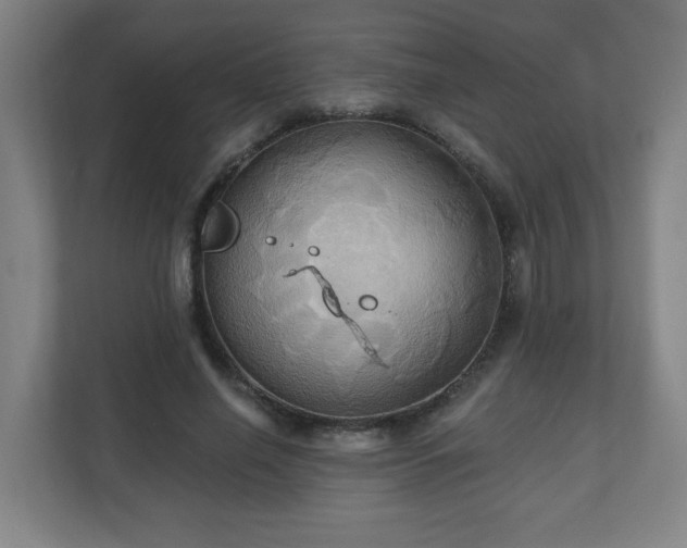 X0000110680638200906191406