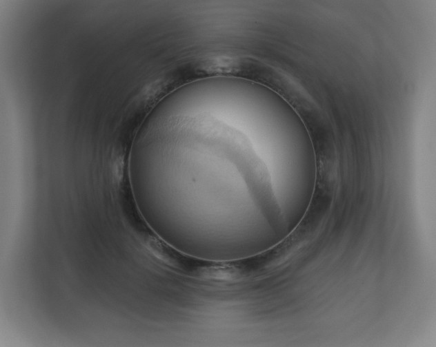 X0000110680652200906191406