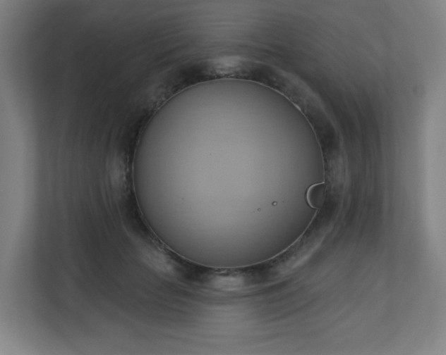 X0000110680653200906191406