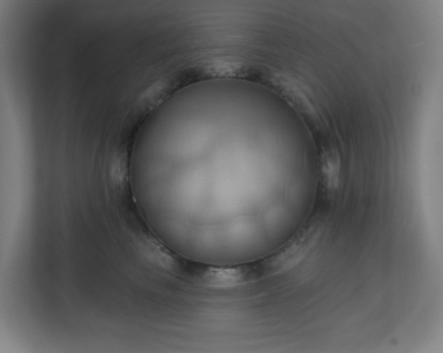 X0000110680665200906191406