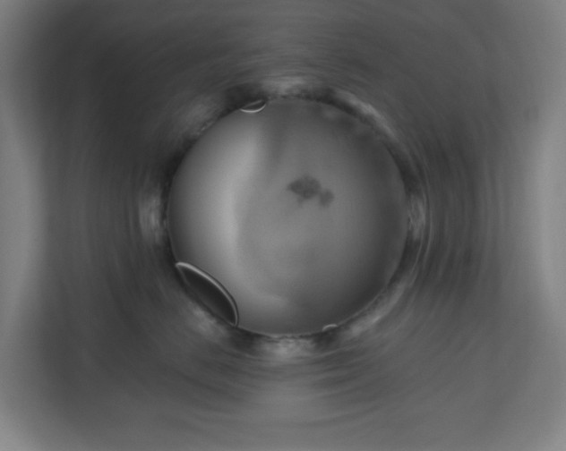 X0000110680670200906191406