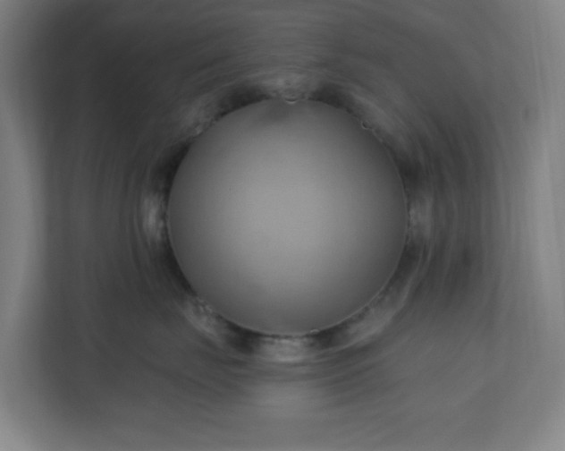 X0000110680671200906191406