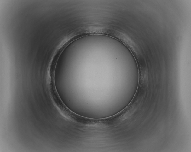 X0000110680674200906191406