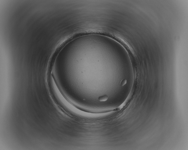 X0000110680677200906191406