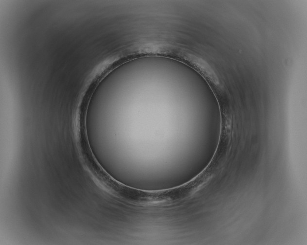 X0000110680678200906191406