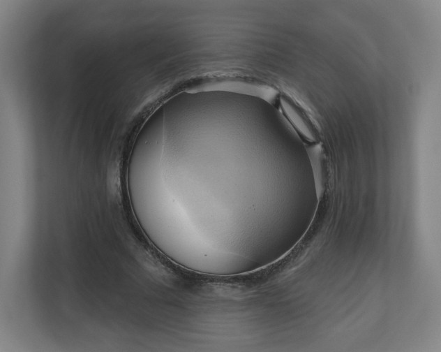 X0000110680681200906191406