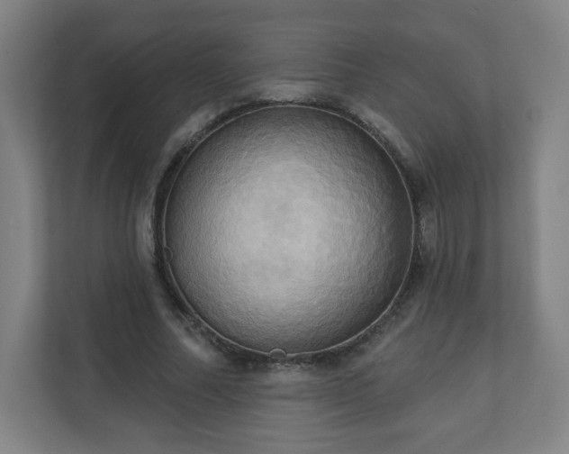 X0000110680682200906191406
