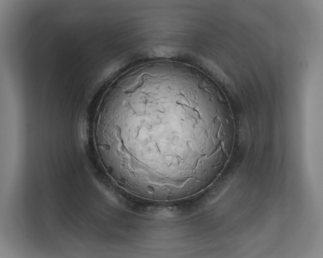 X0000110680683200906191406