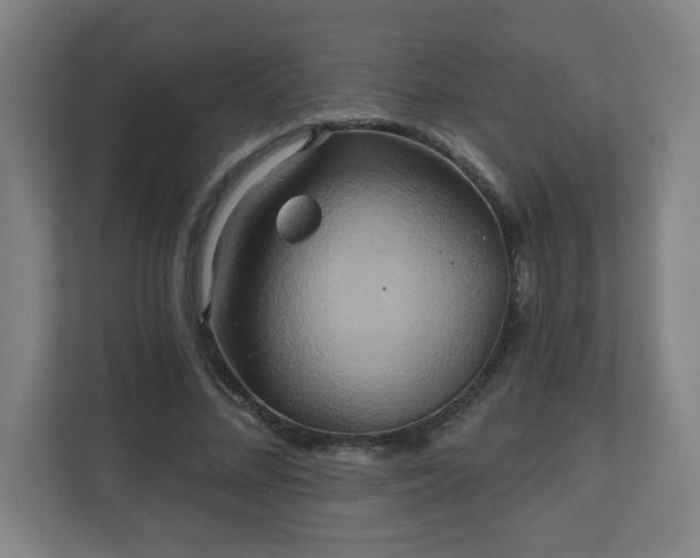 X0000110680684200906191406