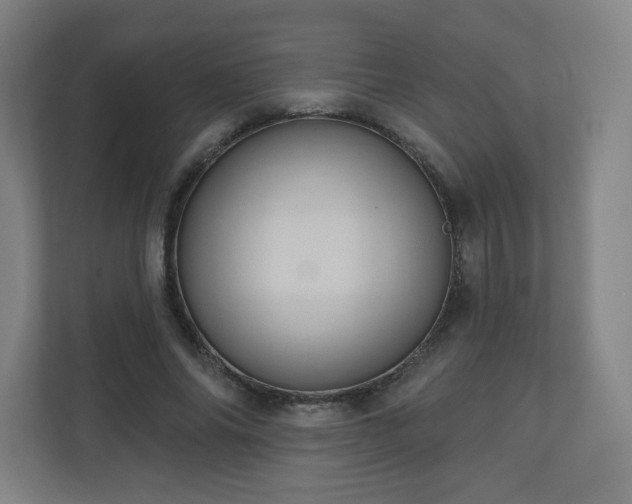 X0000110680686200906191406