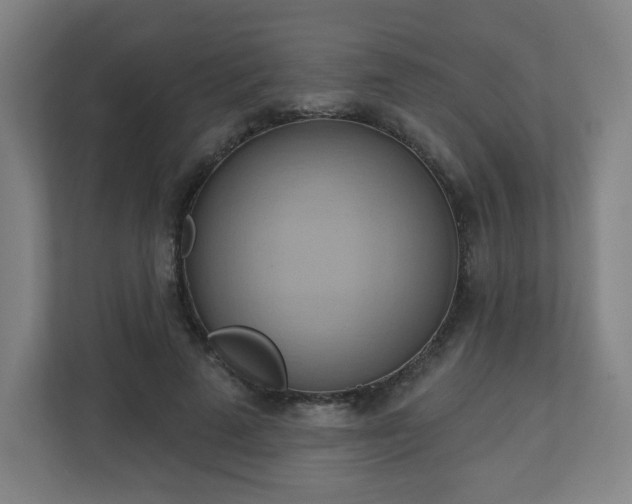 X0000110680689200906191406
