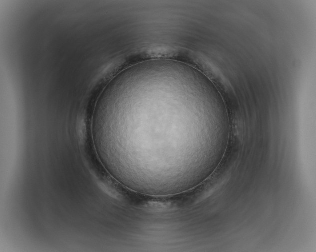 X0000110680690200906191406