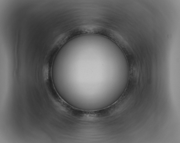 X0000110680694200906191406