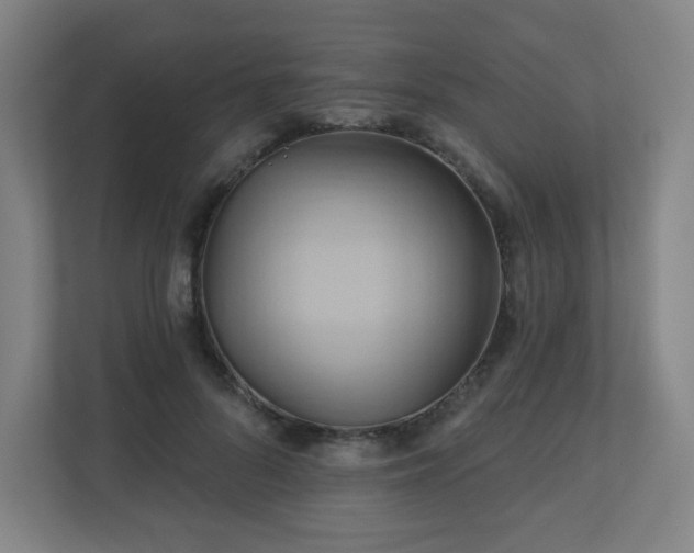 X0000110680696200906191406