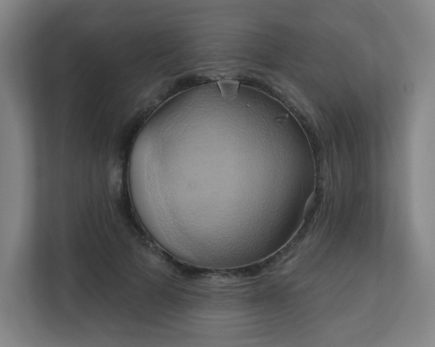 X0000110680697200906191406