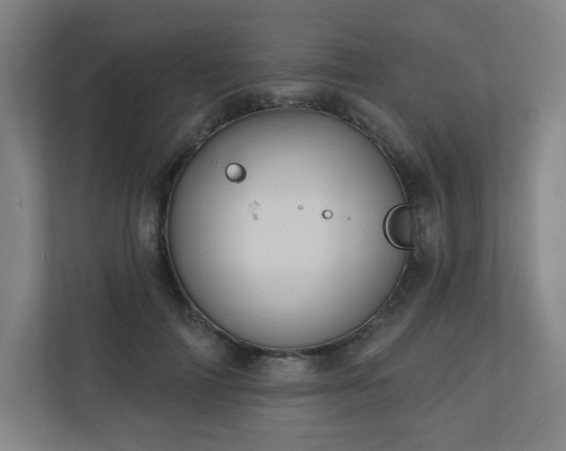 X0000110680698200906191406