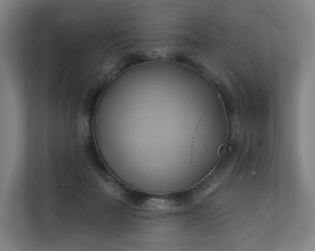 X0000110680699200906191406