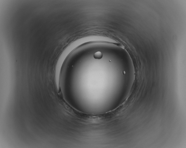 X0000110680701200906191405