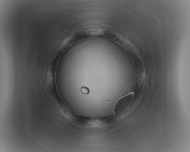 X0000110680704200906191405
