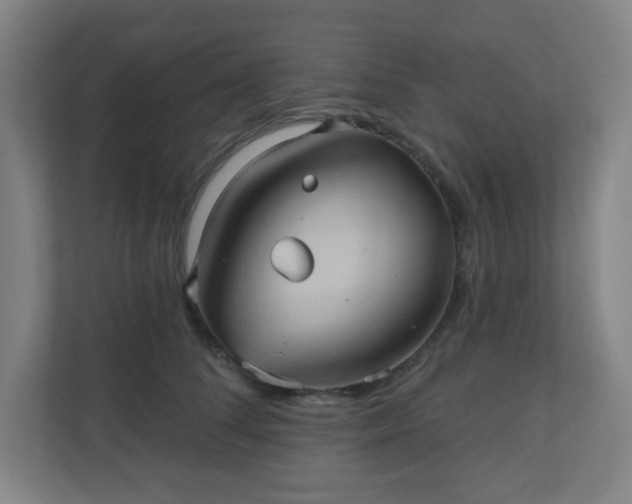 X0000110680708200906191405