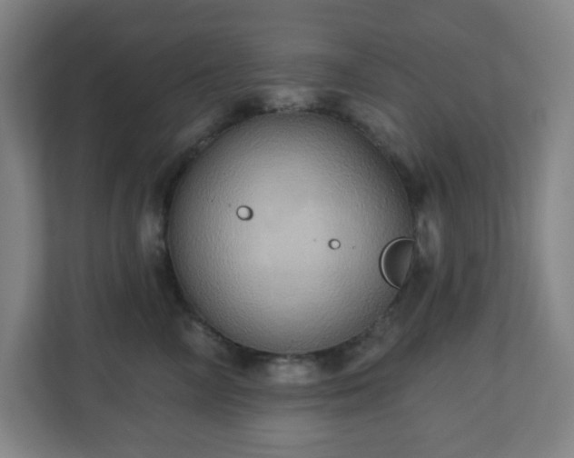 X0000110680714200906191405