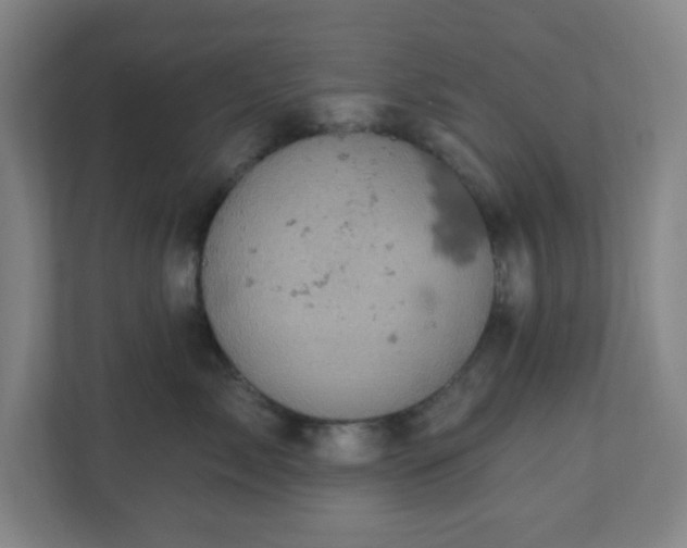 X0000110680717200906191405