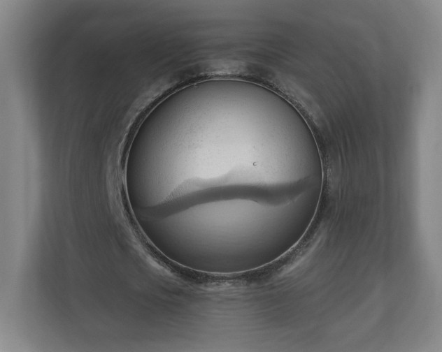 X0000110680721200906191405