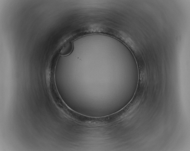 X0000110680722200906191405