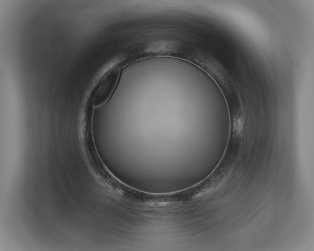 X0000110680724200906191405