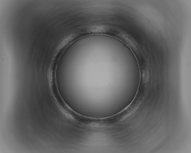 X0000110680725200906191405