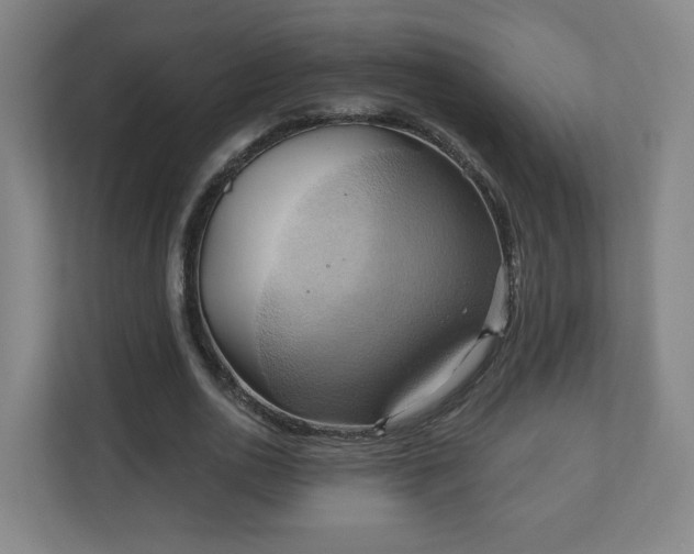 X0000110680726200906191405