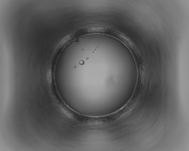 X0000110680729200906191405