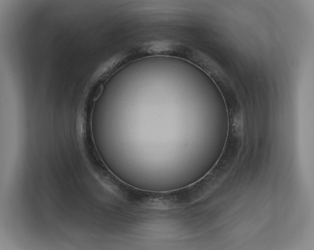 X0000110680732200906191405
